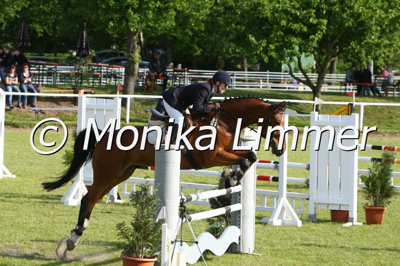 204M1765_Desperado_Stil Axx.JPG